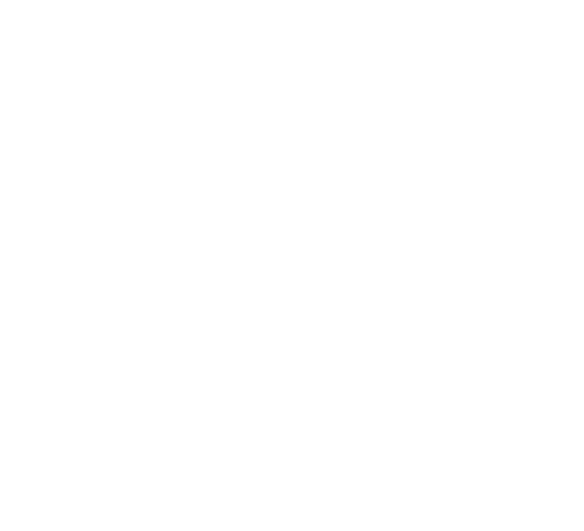 logo_bnt